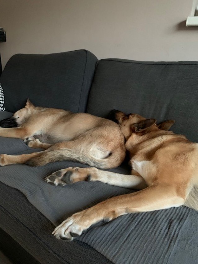 Lucy en Bunny - zusjes