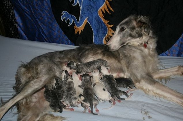 Exor's mama,broertjes en zusjes