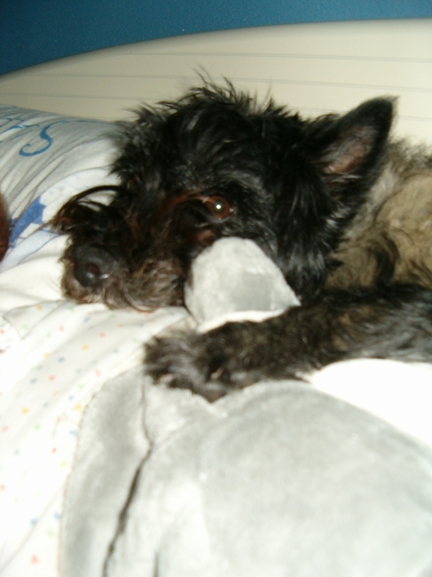 Dit is Chelsea met haar andere knuffel vriendje.