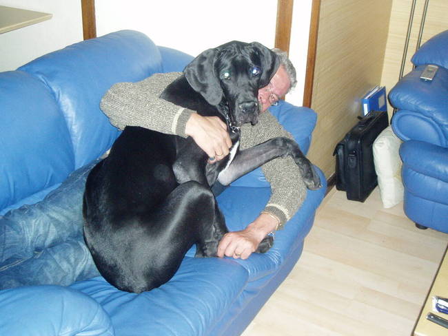 Bailey bij Piet.
Bailey is hier 5 maanden oud.