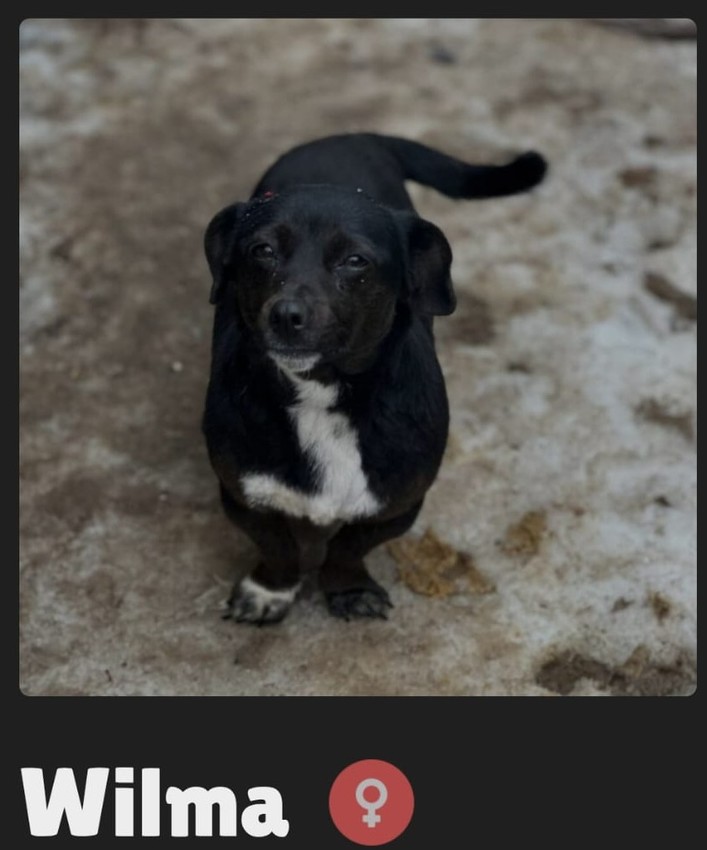 572542.jpg