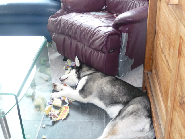 van hard slopen wordt je ook moe hoor