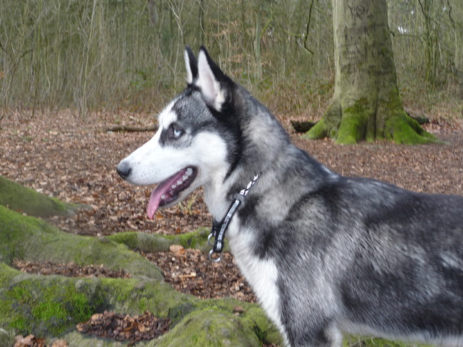 en daar gaat de kleine mensen stoet weer, daggggggggggggggg... 