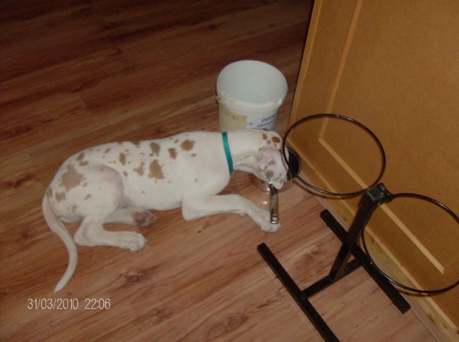 Zelfs te lui om staand te drinken..