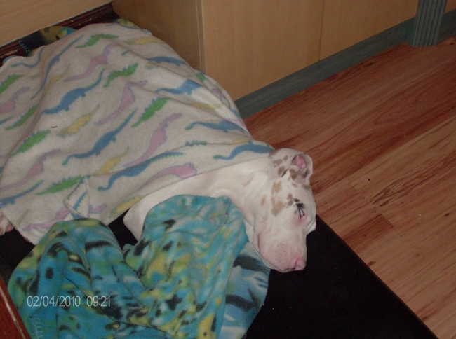 Hoe bedoel je verwend?
Nou, zo dus...