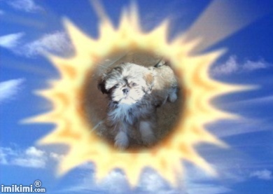 gemaakt door Fabke bedankt!!