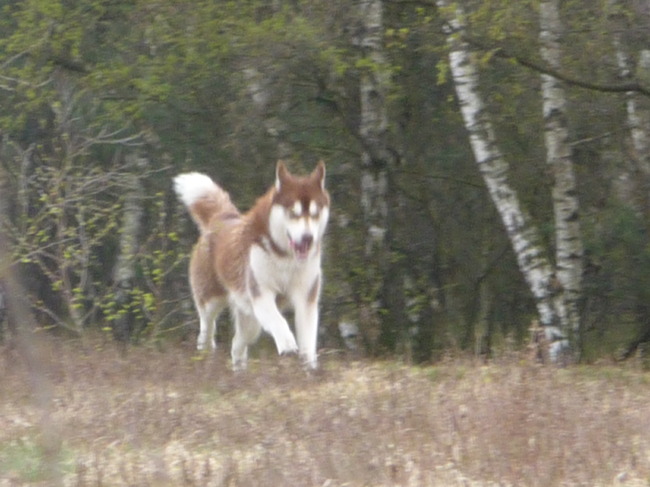 komal kom eraan!!!!!!!!!