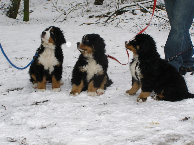 sara ( rechts) met een broertje en een zusje