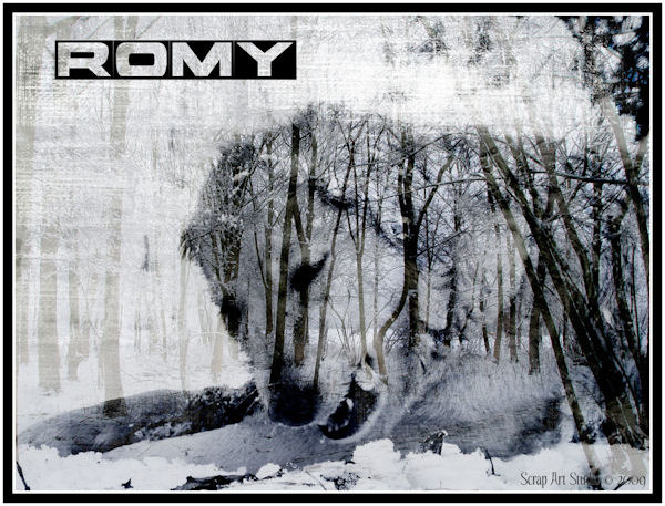 Romy , een zwart wit foto en gemaakt met diverser achtergronden van landschappen. 
