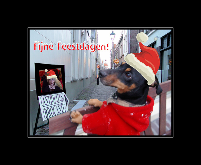 Bolletje , heeft voor als het koud is en fleece jackje en omdat het kerst was en december heb ik een kerstmuts op zijn kop gezet. 