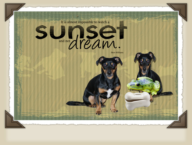 Bolletje en de kikker, een scraplayout van bolletje en een kikker. 