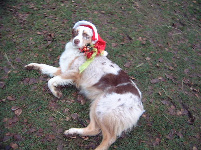 Kerst