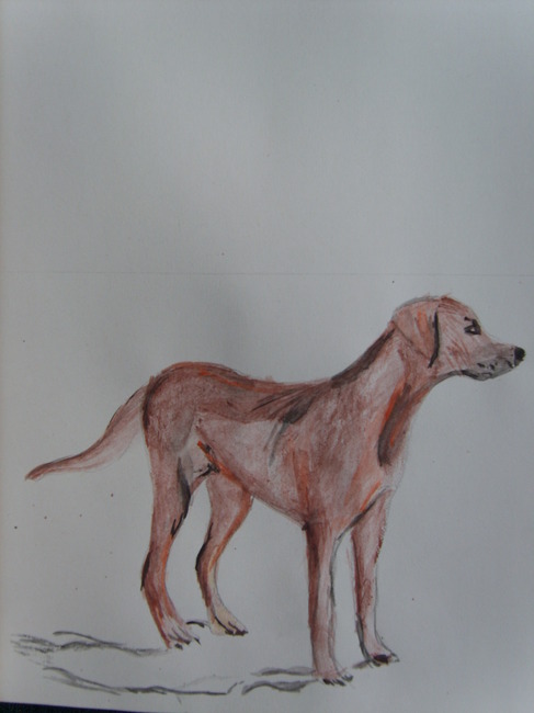 Hond geschilderd van pascalle.