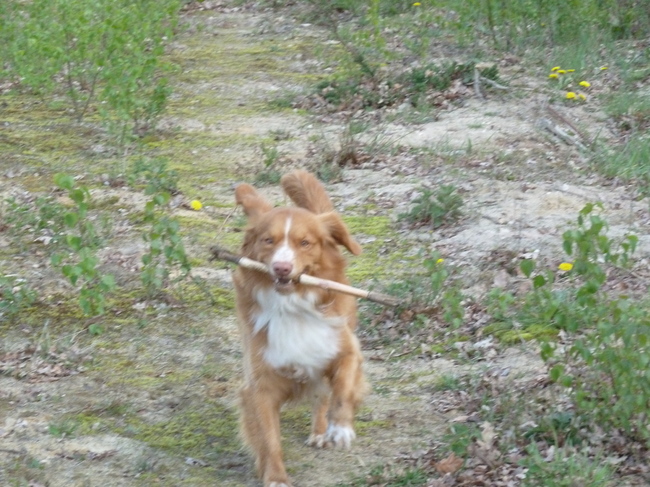 lekker wandelen