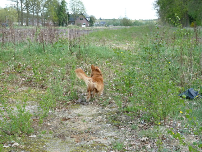 lekker wandelen