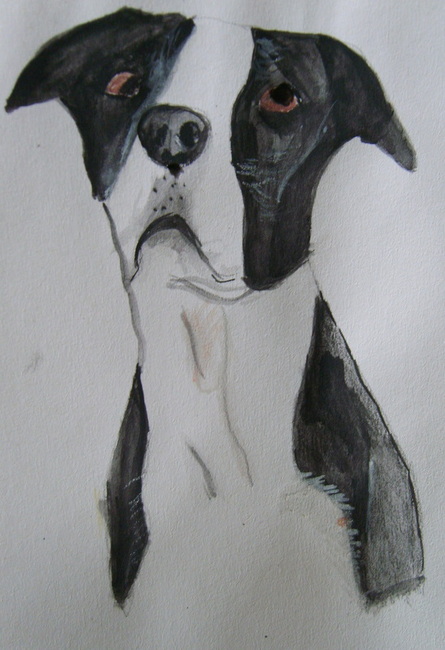 Hond getekend van Anita
matchy was helaas mislukt maar spike niet ;)