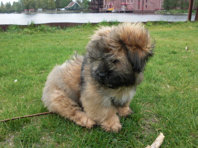 wat een windje zeg!!