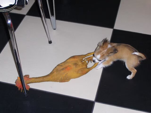 Hier was ik een dikke 3 maanden,maar zoals je ziet, ik kan alles zoals…