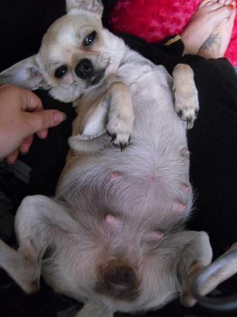 ukkie 47 dagen zwanger