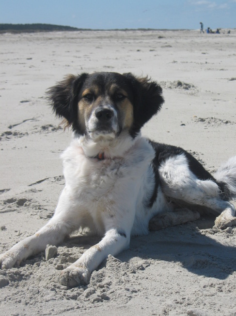 Eigenlijk was er geen tijd voor foto's. Teun had het superdruk, maar goed eentje kon nog net. Wat een fotomodel hè?