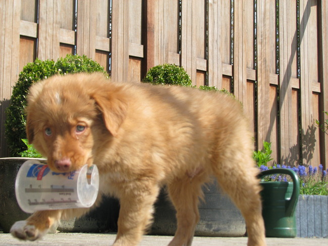 Ik heb weer iets gevonden om mijn tanden in te zetten!!