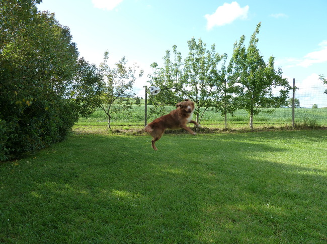 spring!!!!!!!!!