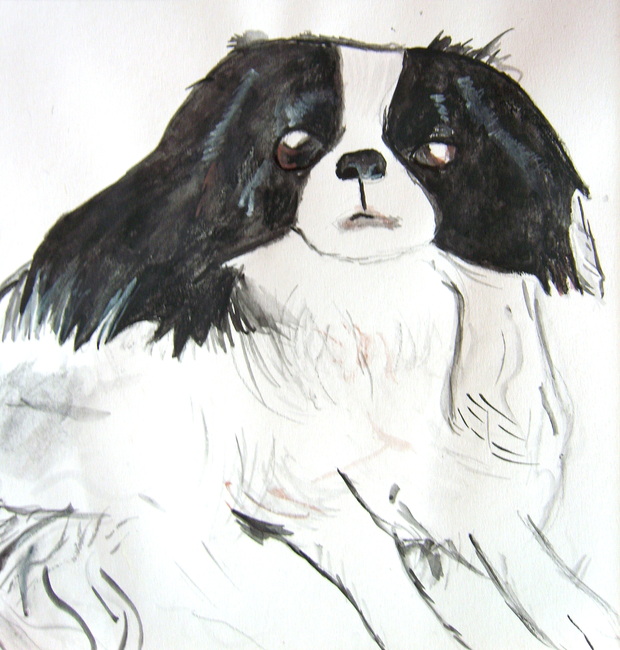 Hond geschilderd van marscha