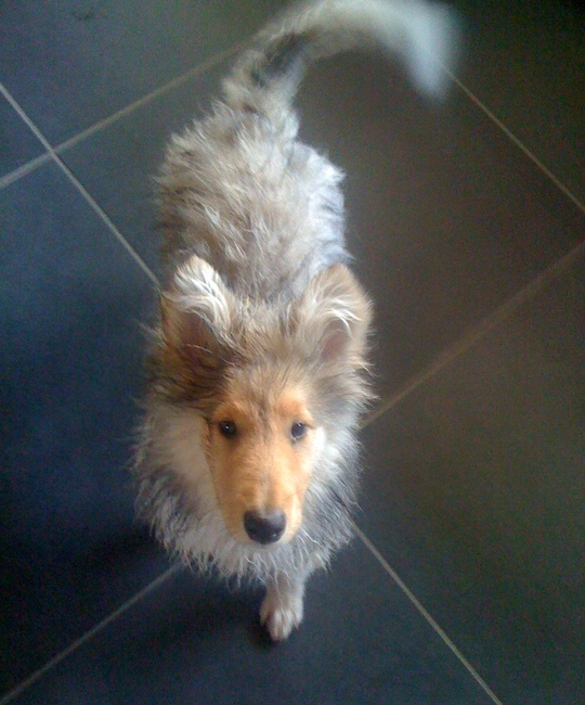 24 mei 2010
Cooper na zijn eerste badje