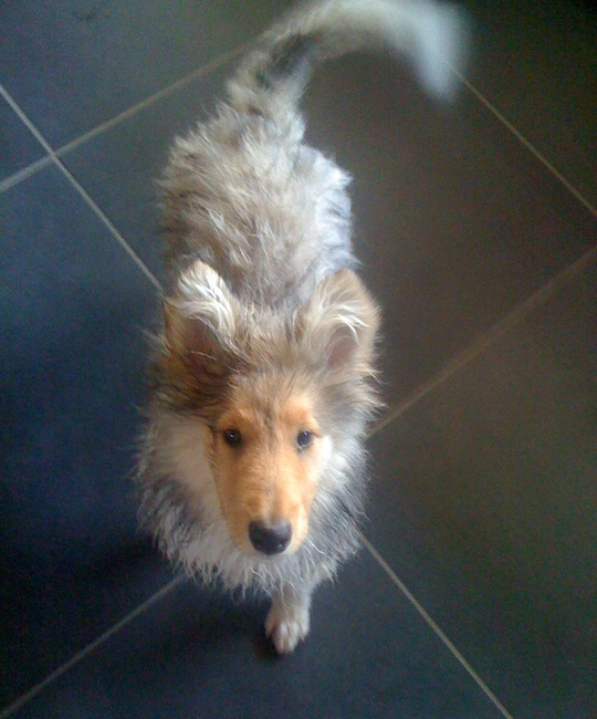 24 mei 2010
Cooper na zijn eerste badje