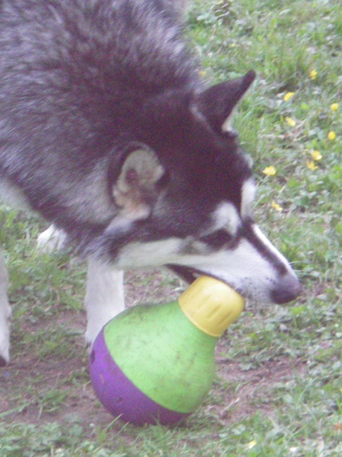 King wil de dop eraf halen