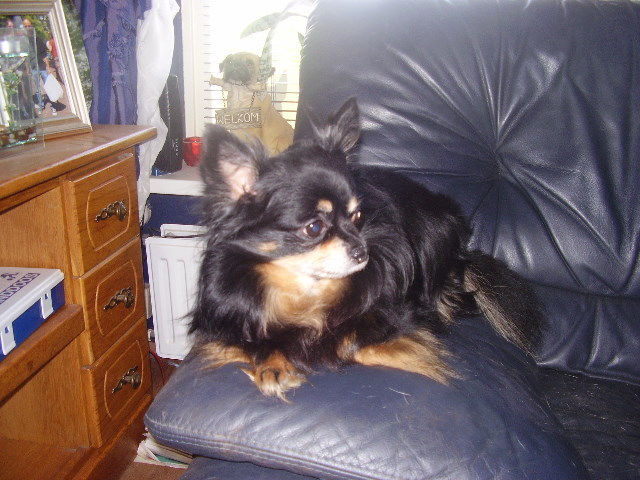 Lekker alles in de gaten houden op de bankleuning