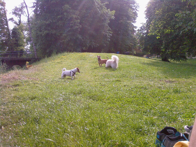 fief wil met haar vriendjes spelen