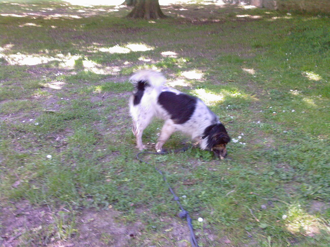 yousef, fief haar grote vriendje