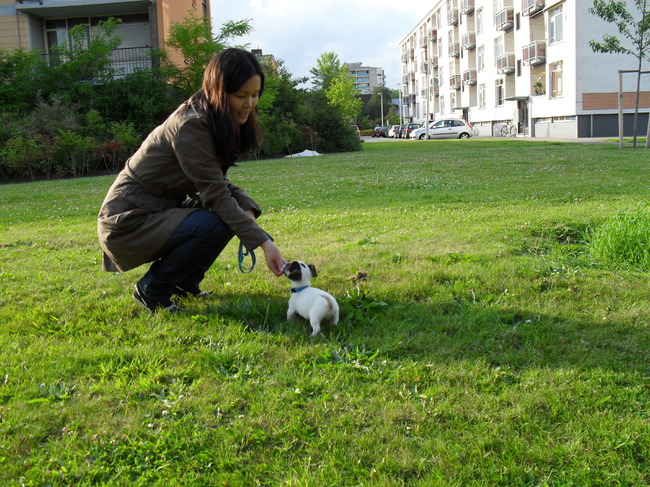 Netjes m'n kunstje gedaan, dus krijg ik wat lekkers.