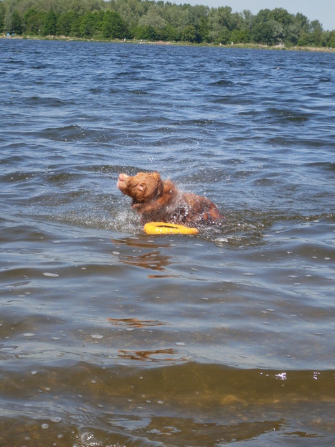uitschudden (in het water, LOL!)