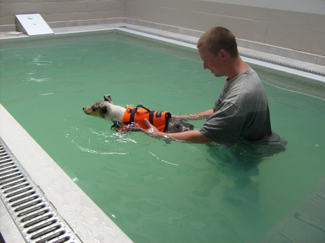 2010-06-05_PuppyzwemmenBlue12weken