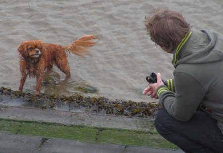 Floortje en ik op Texel. Floortje is echt een water hond ! 