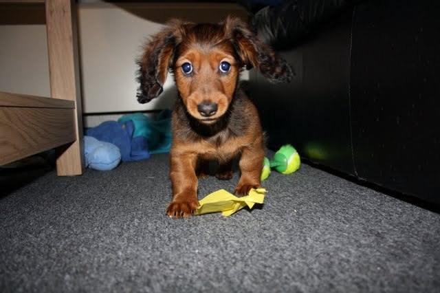 De sloopwerkzaamheden van haar beginnen meteen op dag één.
Zucht.....