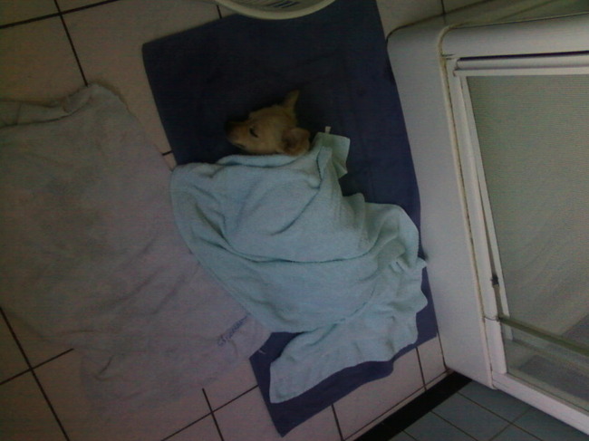 Bij mama op de badkamer slapen onder de handdoek !