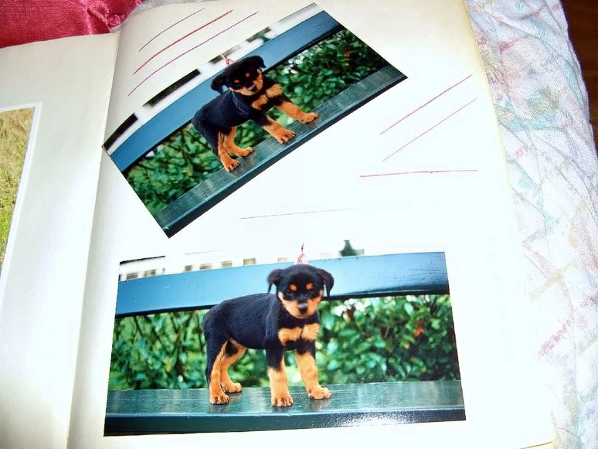 dat was mijn cara (overleden)was maar acht