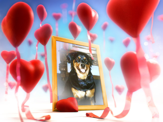 nogmaals cara(deze foto heb ik bewerkt)