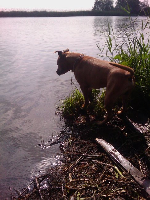 Aan de wandel bij de Wevershoeve