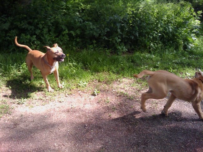 Lekker spelen met een nieuw vriendje