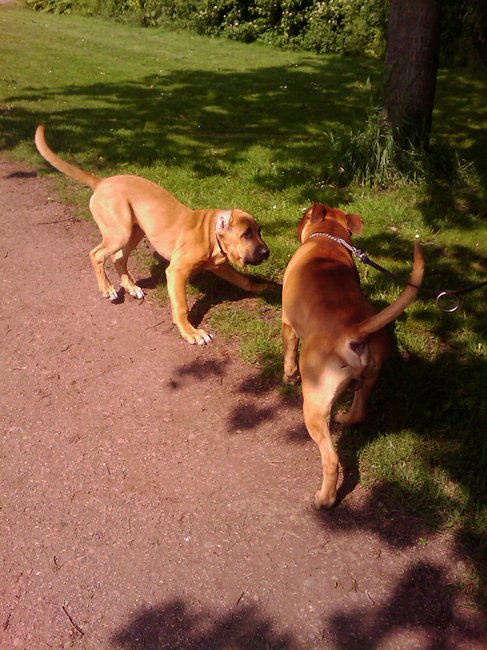 Afscheid nemen valt zwaar :-( 