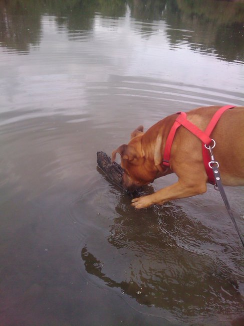 Waar is het nou gebleven?