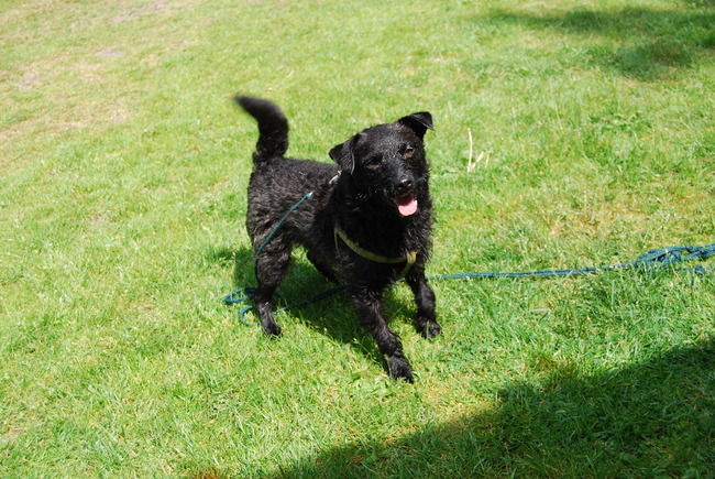 Verslaafd aan het waterpistooltje :)