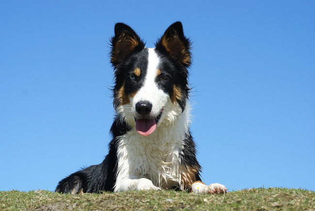 Hier hoeven we niets bij te vertellen....