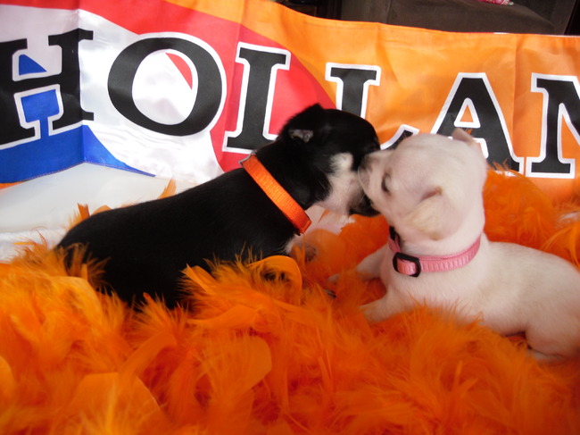 samen spelen,4 weken oud