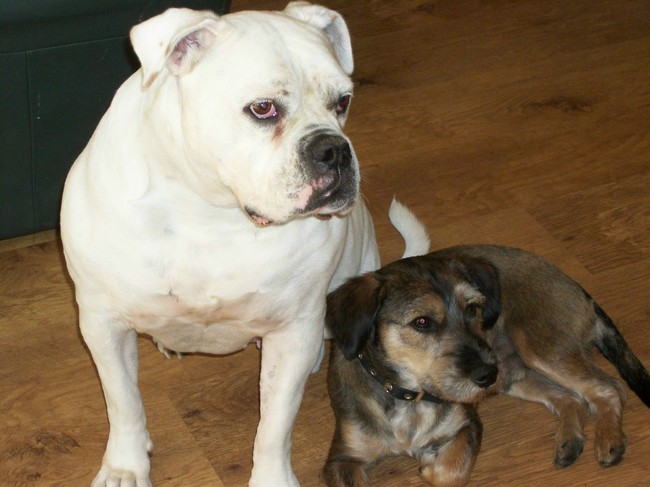 Samen zijn wij een mooi stel vind je niet????