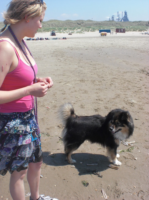 Lekker op het strand. En blaffen en rennen wat hij deed!